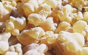 乳香的挑选方法_色香燃，辨真假