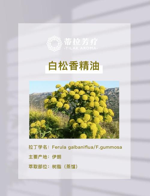 白油在化妆品中的作用_护肤佳品，工业润滑好帮手