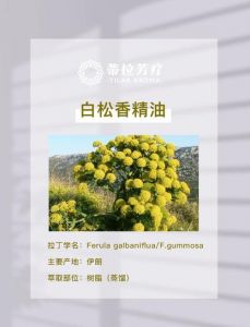 白油在化妆品中的作用_护肤佳品，工业润滑好帮手