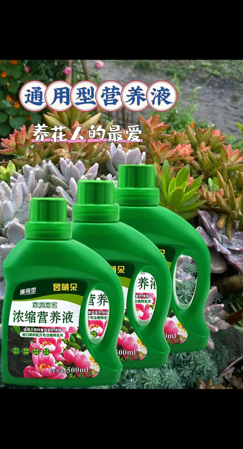 花卉营养液的正确使用方法_植物营养液，促进生长开花，选对配方勤补充