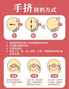 挤奶的正确方法和注意事项_正确挤奶，呵护母婴健康