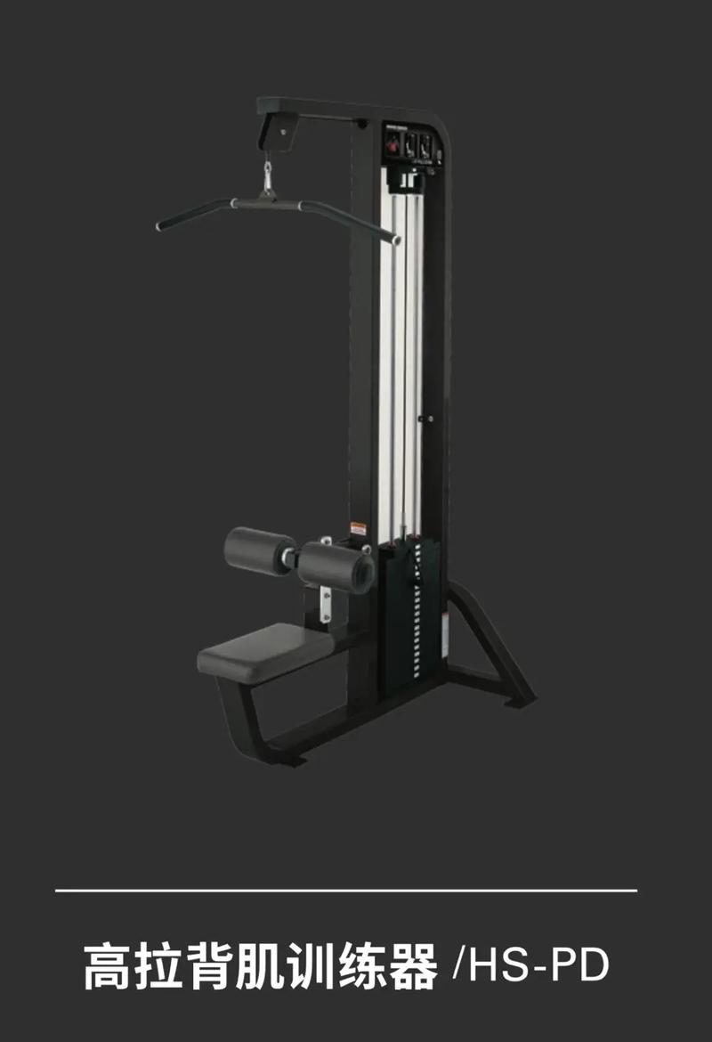 从下往上拉的健身器材叫什么_健身器械种类多，高位下拉练背，龙门架强上肢，推胸器练胸