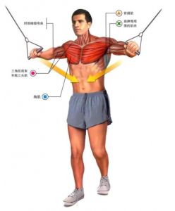 哥练得胸肌你还想不想靠_胸肌梗引热议，是风格革新还是才尽？