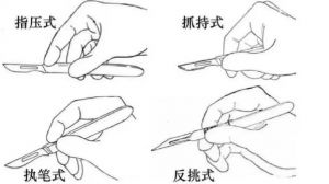 拿菜刀的正确姿势_切菜安全又高效