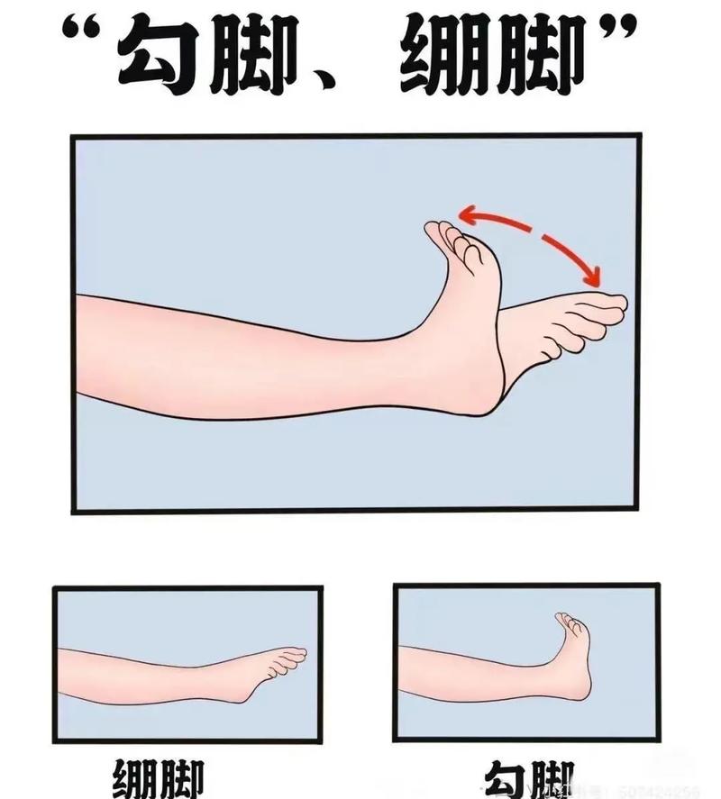 勾绷脚动作及要求_勾绷脚练好背挺直，腿松紧，膝盖并拢，协调基本功！