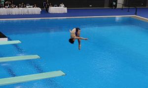 跳水规定动作和自选动作_规定动作严格考技术，自选动作创意挑战高！