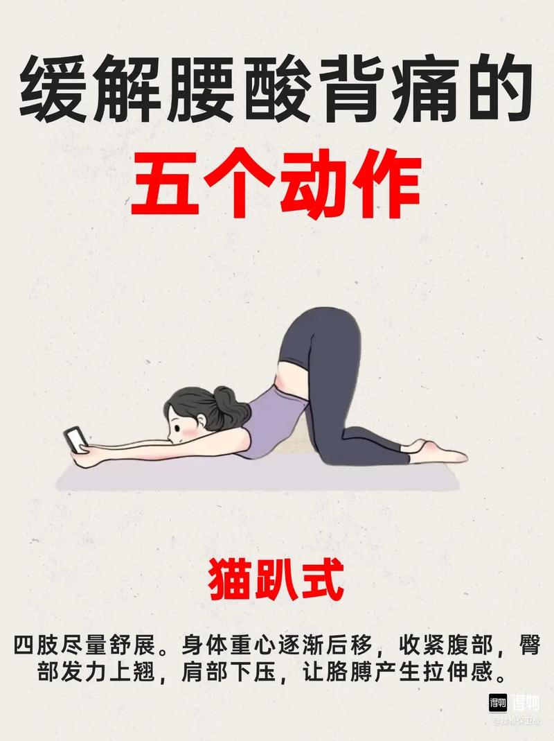 腰无力怎么锻炼_久坐腰无力？练深蹲硬拉强核心！