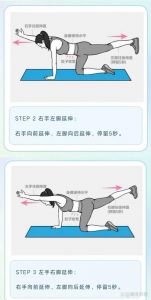 鸟狗式锻炼什么部位的肌肉_鸟狗式锻炼核心平衡协调