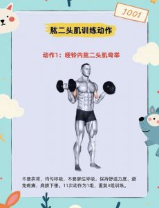 前平举练哪里的肌肉_前平举练肩，孤立三角肌前束