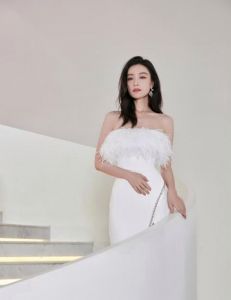 羽毛裙怎么搭配_羽毛裙时尚搭配，优雅又多变