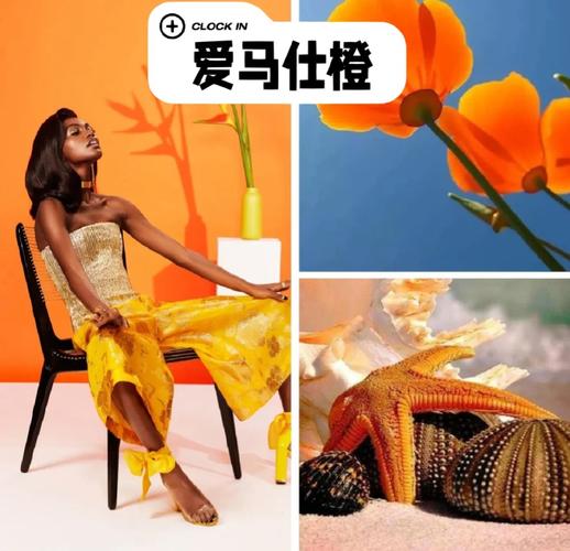 爱马仕橙的配色法则_奢华百搭的活力色