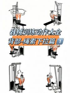 五站综合训练器使用方法_五人站综合训练器，多人健身体验佳