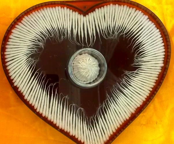 自制灯芯的最佳材料是什么_棉线灯芯草到竹纤维