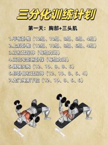 几分化训练好_增肌训练选哪个？