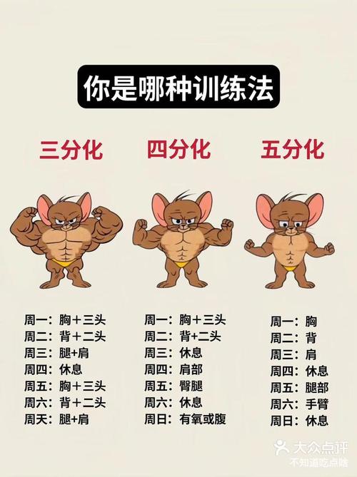 优质训练法则是一种_优质训练法则，增肌提能，效果佳！