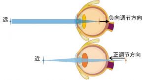 晶状体调节能力训练_简单方法缓解视疲劳