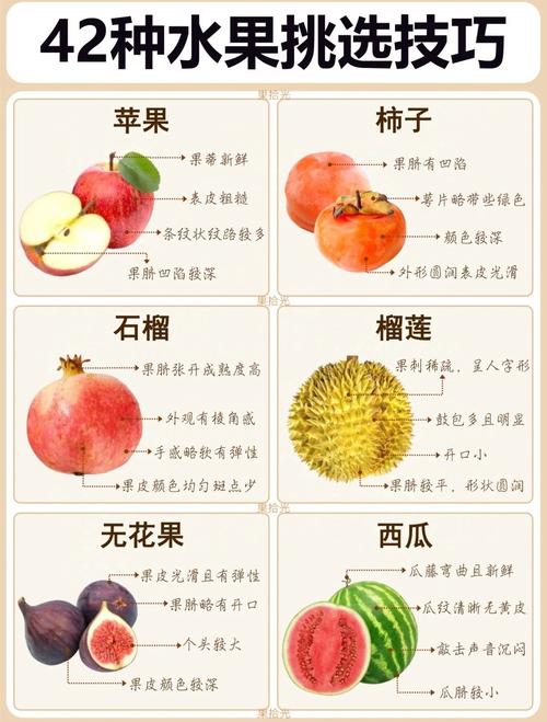 虫族肉荤素搭配最忌三种水果_忌萝卜绿豆浓茶辛辣