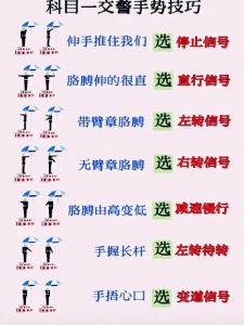 向左转动作要领_绕左脚跟转，右脚掌发力，挺直身躯