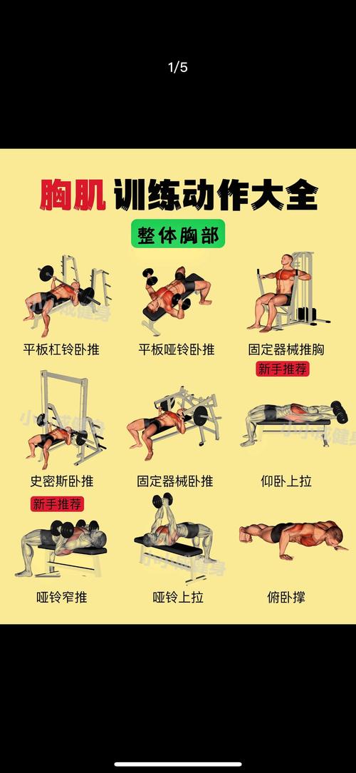 单独锻炼胸大肌的训练方法_上斜哑铃推塑上胸，平板练中胸，下斜强下胸
