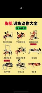 单独锻炼胸大肌的训练方法_上斜哑铃推塑上胸，平板练中胸，下斜强下胸