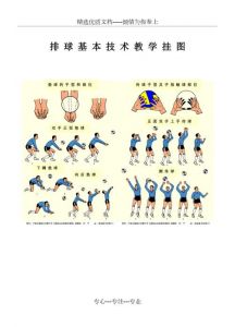 练排球锻炼的是身体哪些地方_排球锻炼全身，提升心肺，增强团队精神！