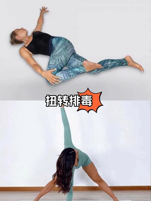 排毒瑜伽动作_养颜塑形好帮手