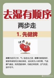伏天适合做哪些祛湿运动_慢跑泡脚食薏米，健康常相伴！