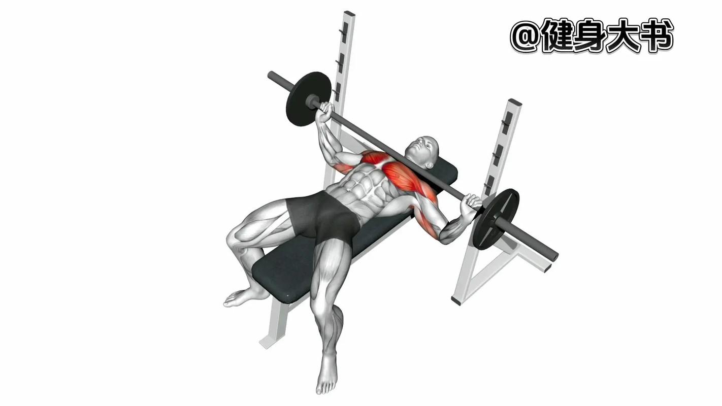 宽距俯卧撑练哪里肌肉_宽距俯卧撑练胸肩，效果赞！