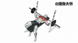 宽距俯卧撑练哪里肌肉_宽距俯卧撑练胸肩，效果赞！