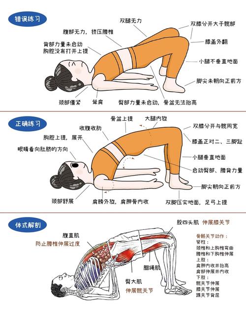 双桥运动的标准动作_双桥锻炼核心稳髋,简单有效易上手 双桥运动的标准动作_双桥锻炼核心稳髋,简单有效易上手
