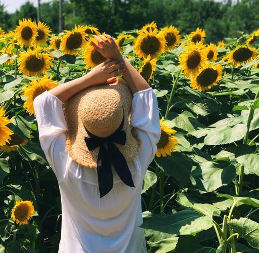 向日葵拍照姿势大合集一看就会_美照轻松拍 向日葵拍照姿势大合集一看就会_美照轻松拍