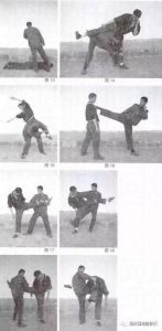 老式摔擒12个动作_武术组合拳与摔擒技术实战技巧