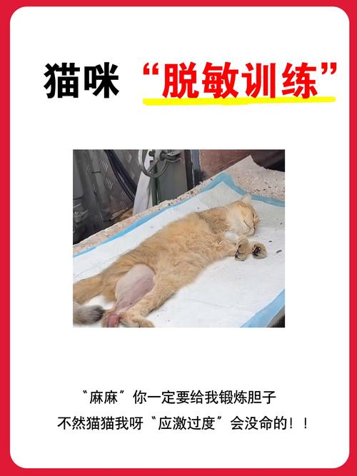 谁做脱敏训练有效果了_脱敏训练治漏要耐心，坚持正确方法加营养