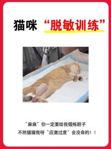 谁做脱敏训练有效果了_脱敏训练治漏要耐心，坚持正确方法加营养