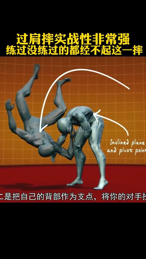 过肩摔三步分解动作_稳站马步摔对手