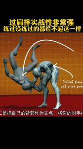 过肩摔三步分解动作_稳站马步摔对手