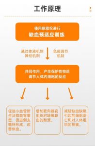 缺血预适应性训练的作用_护心脑，需指导