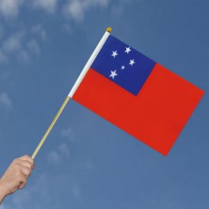 摇旗的正确姿势_执旗敬礼规范动，传递庄严民族情