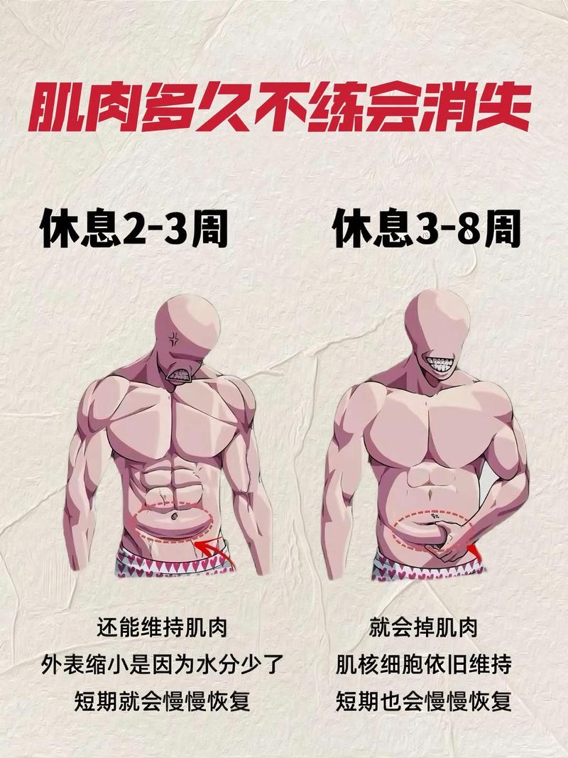 要先长肉才能练出肌肉_瘦人健身直接增肌，无需先增肥