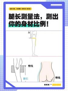 在人体比例中腿占多少_腿长身高比多少算标准？