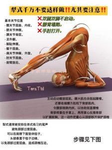 练静态力量有什么好处_静态力量训练好处多，无器械提力稳平衡！