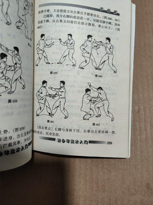 铁拳功最快的练法_快速练就铁拳，循序渐进提升