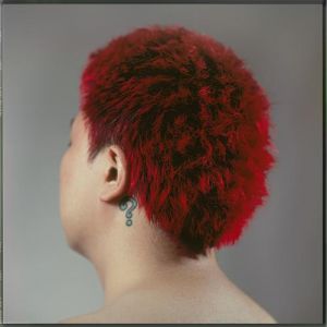 街头霸王红头发斜刘海叫什么_春丽形象变迁引争议