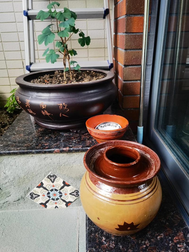 新泡菜坛子最简单三个步骤_土陶坛子泡好菜，避光透气加香料