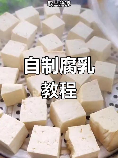 红豆腐乳的制作方法_自制豆腐乳，传承美味，健康掌握！