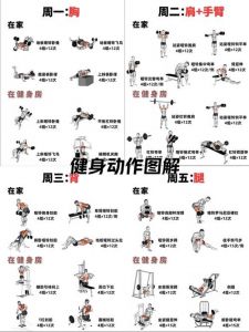 铁哑铃适合什么性格_铁哑铃性格选固执打暴力，选开朗控速玩先手