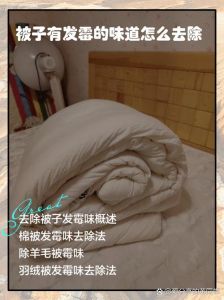 棉被压扁了怎么变蓬松_蒸汽风干恢复蓬松棉被，延长寿命小妙招