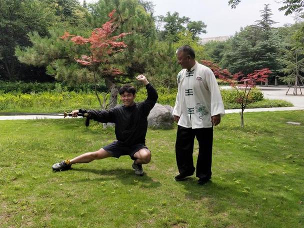 劈掌动作_掌捆柔克刚，劈掌显内功