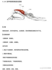 腰骶肌筋膜炎最佳锻炼方法_腰痛别忽视！筋膜炎这样练才有效