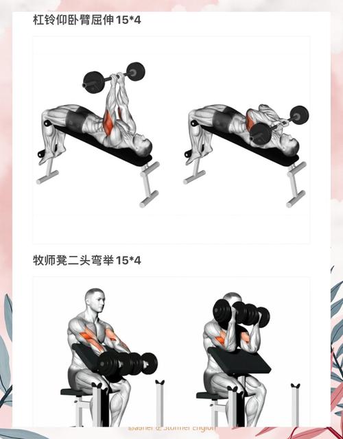 反握弯举练哪里_反握弯举练肱肌 握力臂力同提升 反握弯举练哪里_反握弯举练肱肌 握力臂力同提升